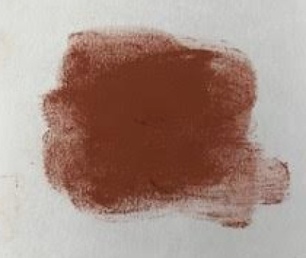 Νο. 6 - ξηρό παστέλ l'ecu Sennelier Red brown